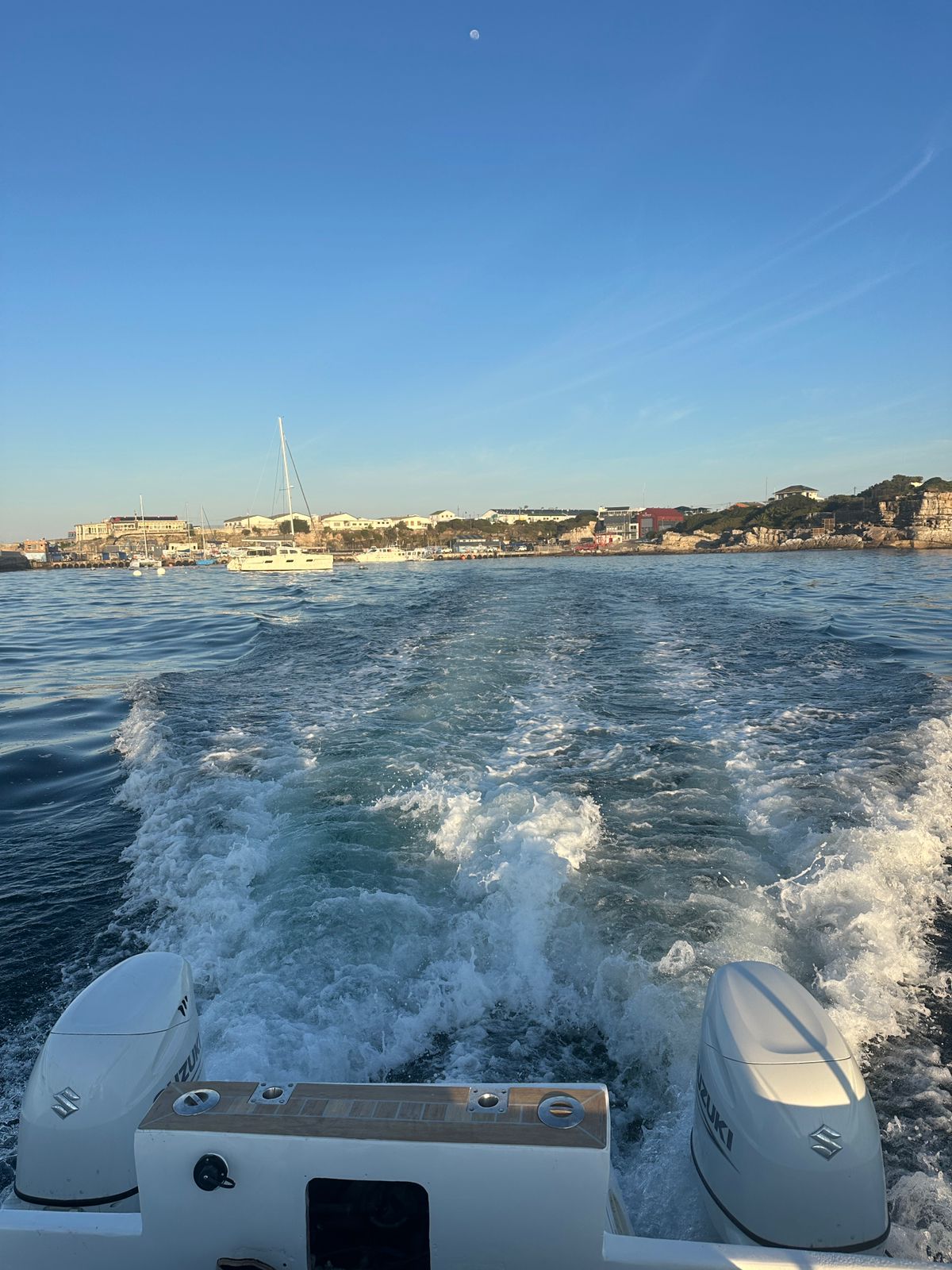 wild waters charters, boat trips in hermanus, catamaran cruise, champagne cruise